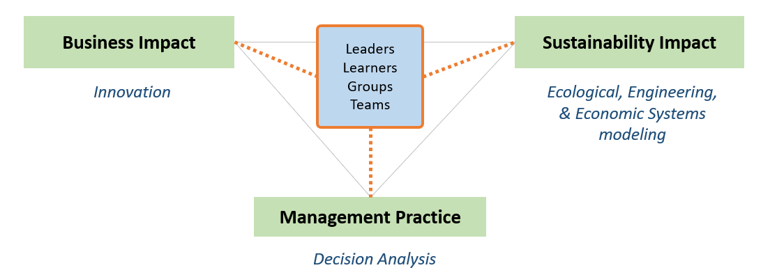 Capability Dimensions